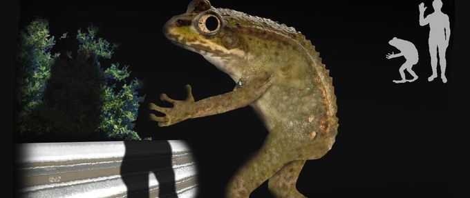 The Loveland Frogman: and the Philosophers&nbsp;Water-stone